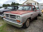 Thumbnail Photo 0 for 1989 Dodge Ramcharger